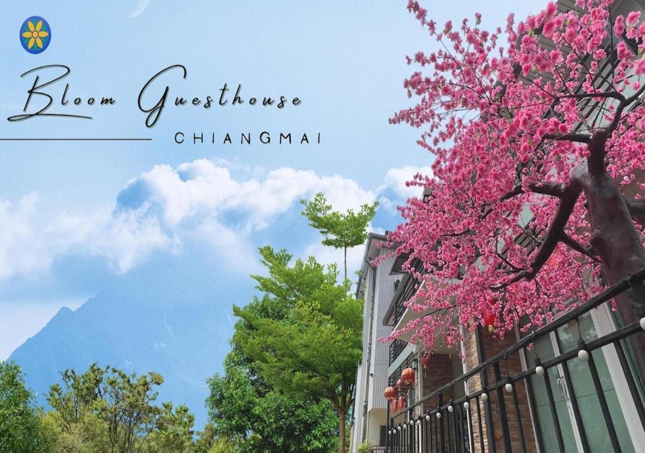 Bloom Guesthouse 치앙마이 외부 사진